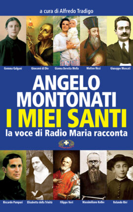 Angelo Montonati - I miei santi